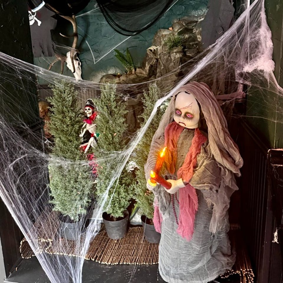 Halloween display featuring a creepy doll holding a glowing candle, skeleton decorations, plants, and cobwebs.